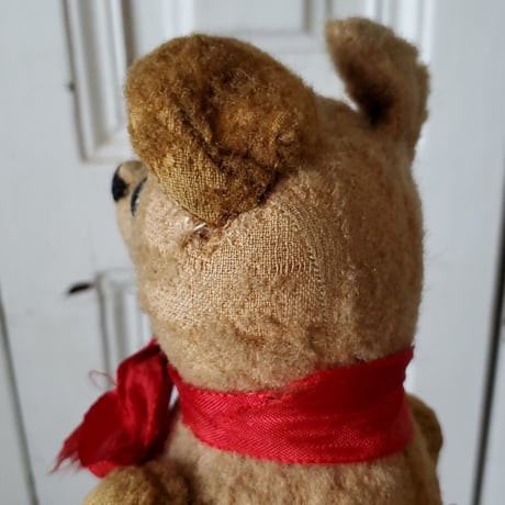 大きな目で見つめる胴長内股のクマちゃん