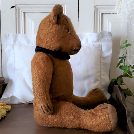 ショコラ色のテディベア