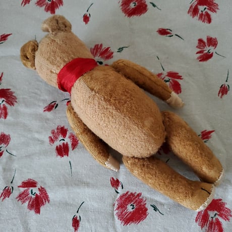 大きな目で見つめる胴長内股のクマちゃん