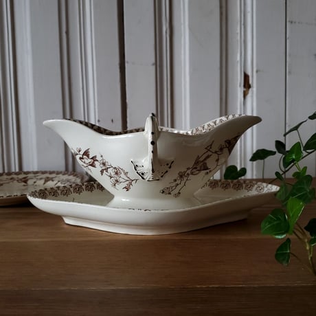 Choisy le Roi小鳥のソーシエール