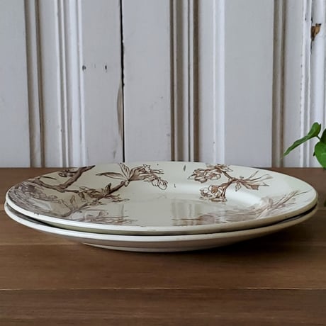 Creil&Montereau クレイユモントロー 桜のプレート