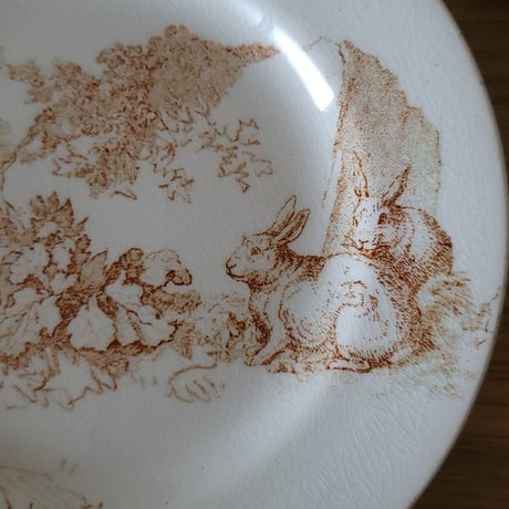 Choisy Le Roiディネットうさぎと鴨