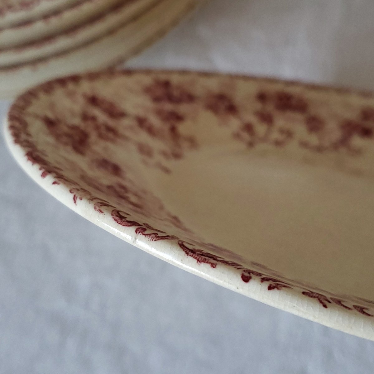 Choisy le Roi野バラ 