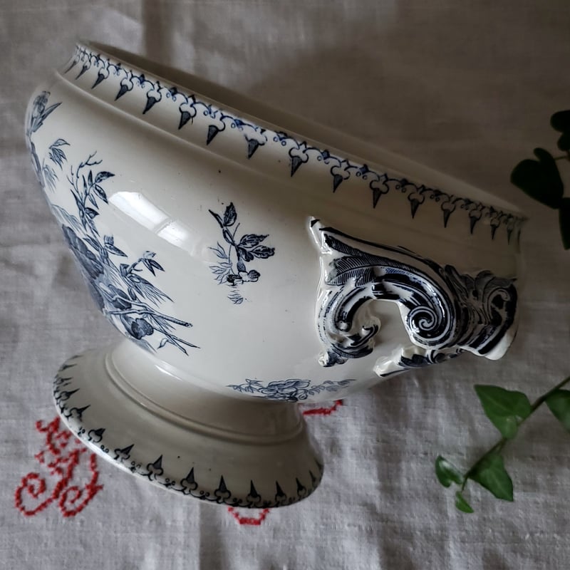 DIGOINサルグミンヌ スッキリと白いスーピエール