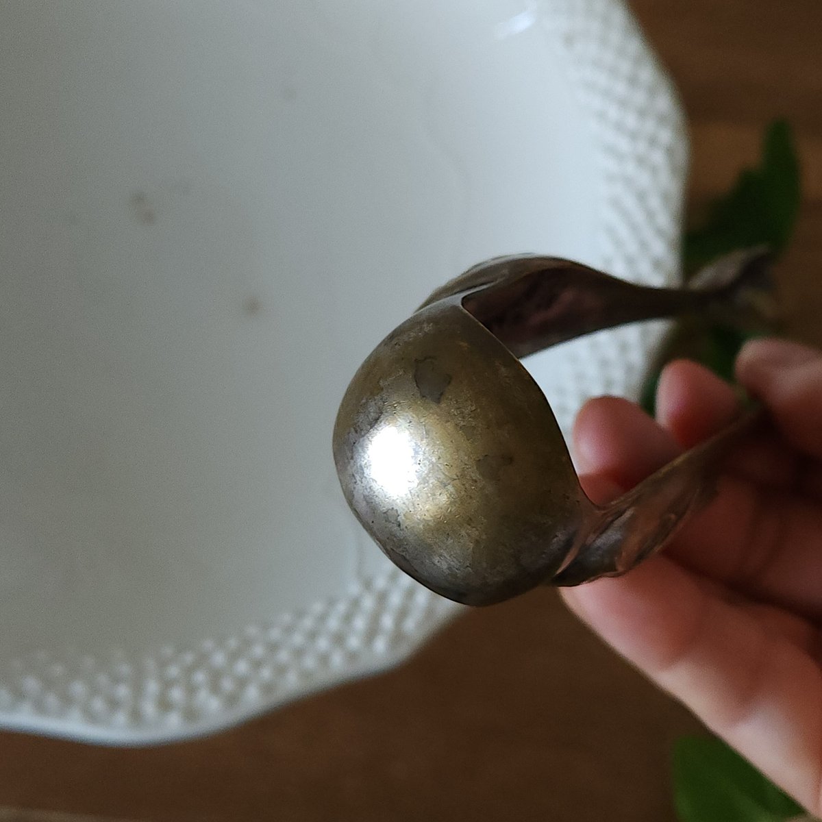 鳥獣爪のシュガートング大きめ | リボンときどきネコ