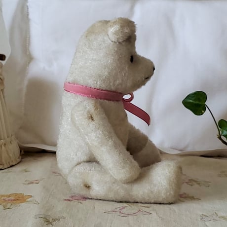 端正なお顔の白クマちゃん