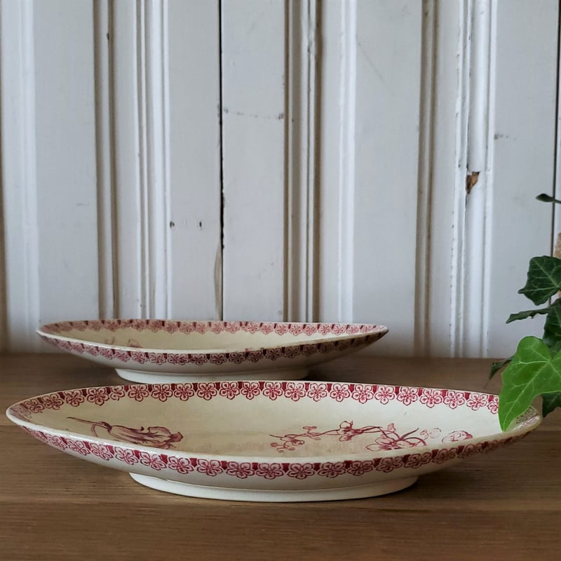 GIEN（ジアン）ラヴィエ CAPUCHINES カプシーヌ