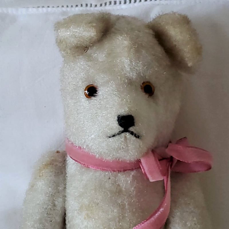 端正なお顔の白クマちゃん | リボンときどきネコ 端正なお顔の白クマちゃん | リボンときどきネコ