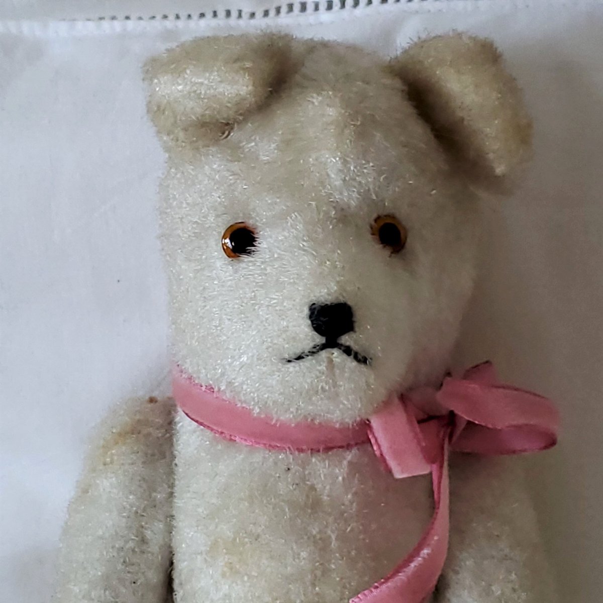 限定☆モヘアのお洒落な白猫ちゃん♡お花摘みおめかしスタイル♪テディベア 真っ白かわいい白猫ちゃんあみぐるみ あみぐるみ SHIHO 通販