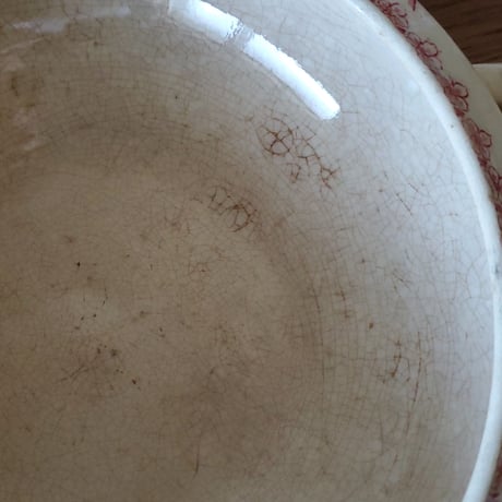GIENナスタチウムのレギュミエ