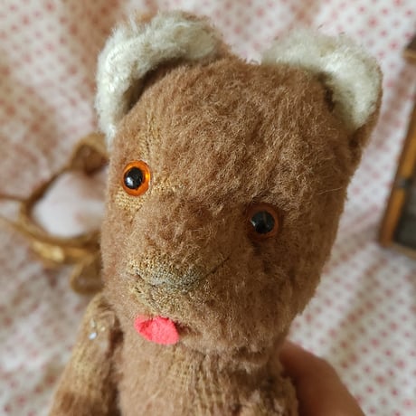 舌をしまい忘れたピーナッツベアちゃん