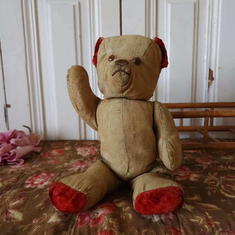 赤耳のフレンチベア | リボンときどきネコ