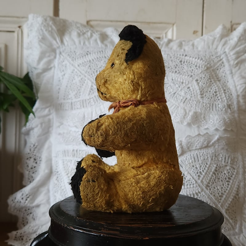 ポン酢　小さなテディベア 小さなテディベアとマルチーズ | のんびり テディベア Miki Bears