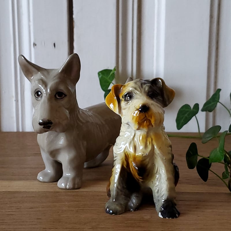 ワイヤーフォックステリア | リボンときどきネコ