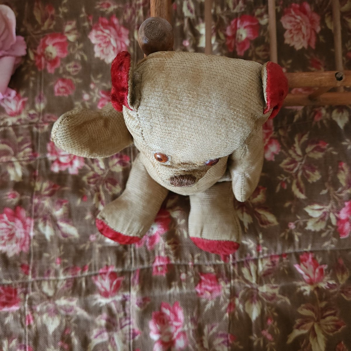 赤耳のフレンチベア | リボンときどきネコ