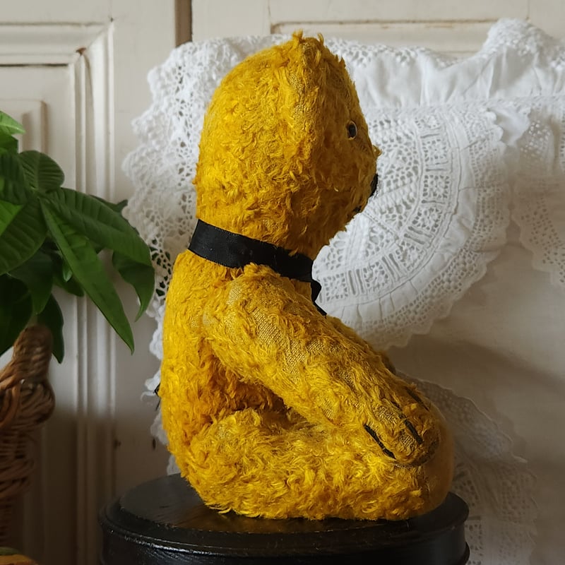 イエローベア | リボンときどきネコ