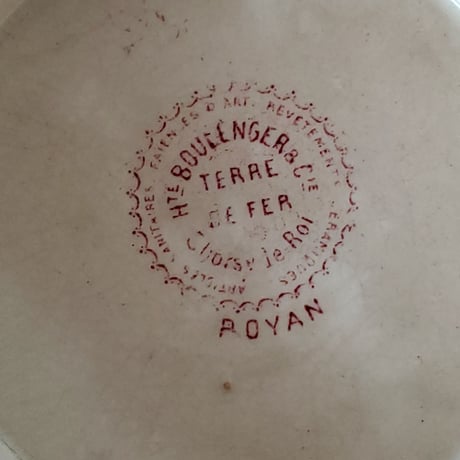 Choisy le Roi野バラ "ROYAN"シリーズ 色づいたスーピエール