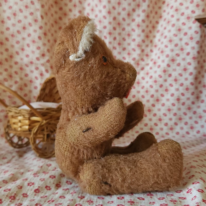 舌をしまい忘れたピーナッツベアちゃん | リボンときどきネコ