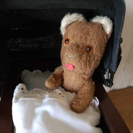 舌をしまい忘れたピーナッツベアちゃん