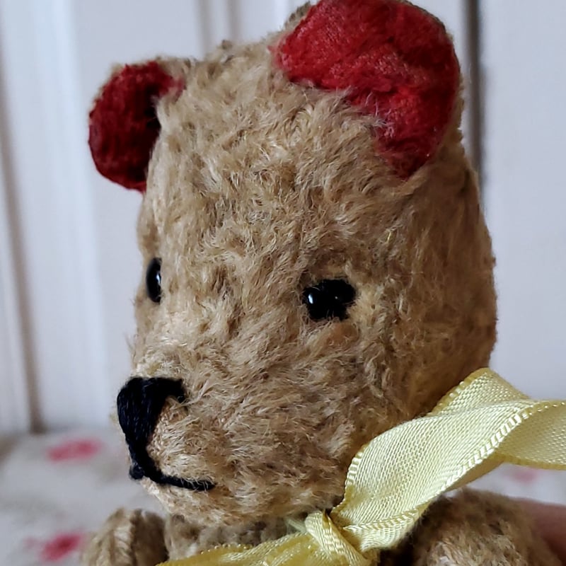 赤耳テディベア | リボンときどきネコ