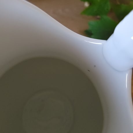 どっしりとした白いピシェ