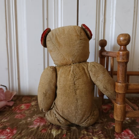 赤耳のフレンチベア