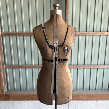 Torso