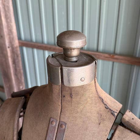 Torso