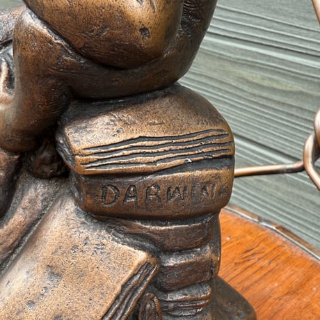 Darwin Monkey