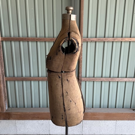 Torso