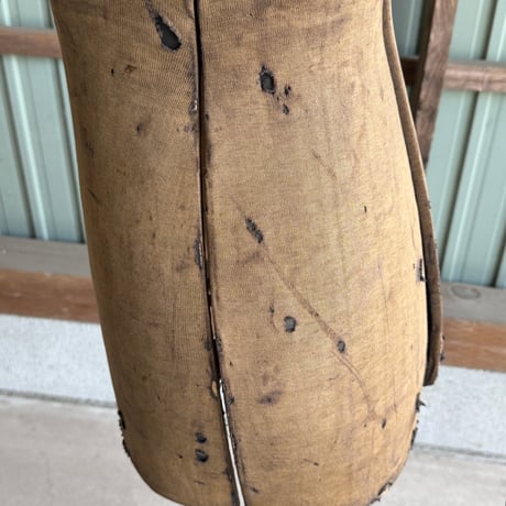 Torso