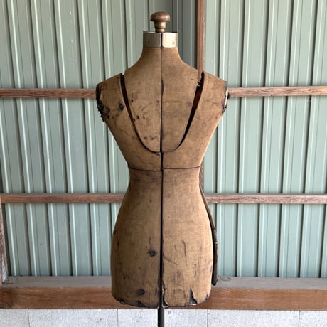 Torso