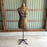 Torso