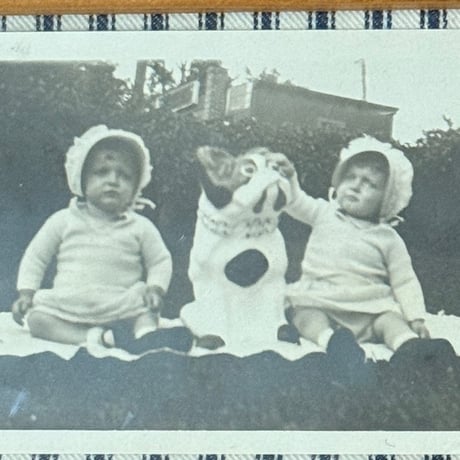 Baby & Bulldog Photo