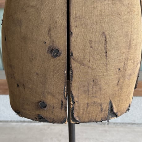 Torso
