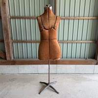 Torso