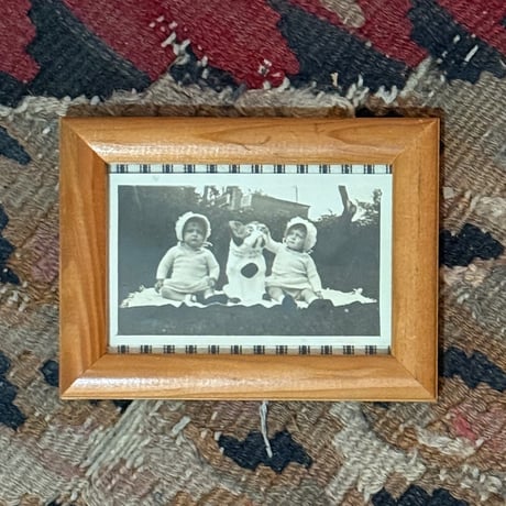 Baby & Bulldog Photo