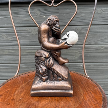 Darwin Monkey