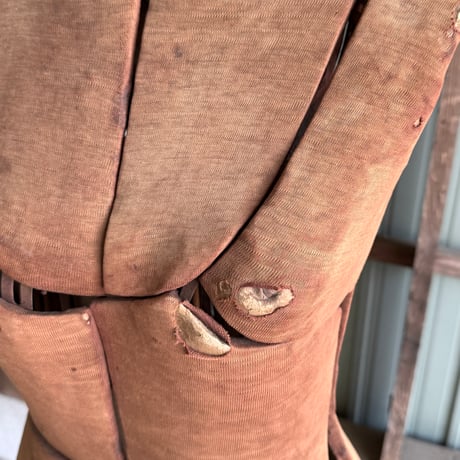 Torso