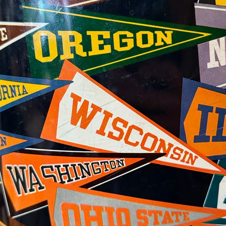 Pennant Trash Can