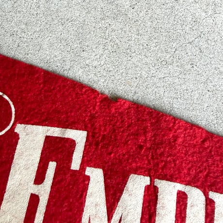 Empire State Felt Pennant