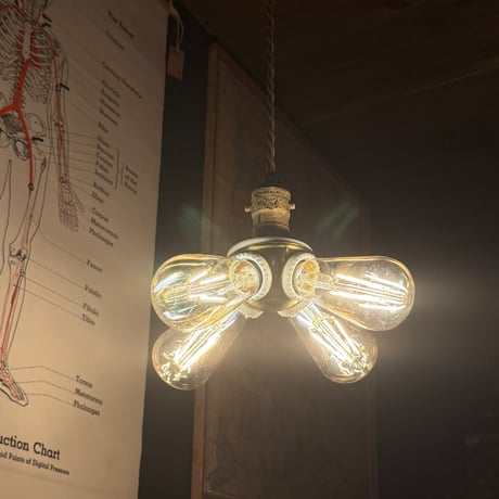 Benjamin Socket 4灯 | SUGAR DUMPLING