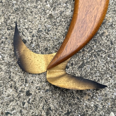 Fur Seal Wall Decor