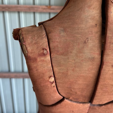 Torso