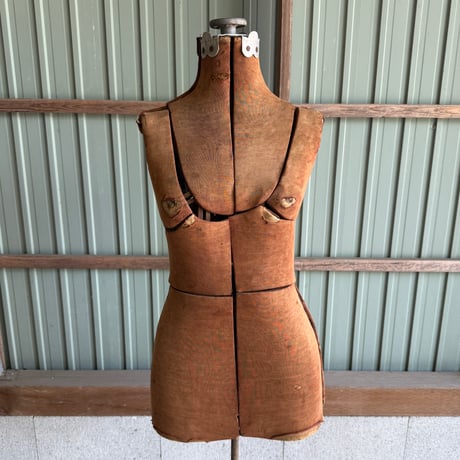 Torso