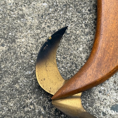 Fur Seal Wall Decor