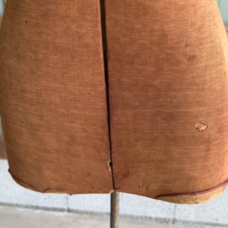 Torso
