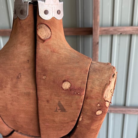 Torso