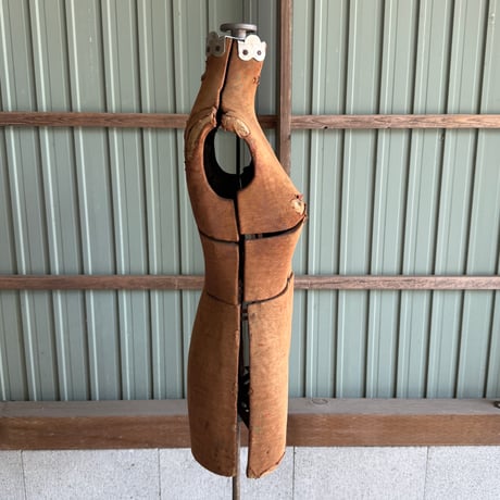 Torso