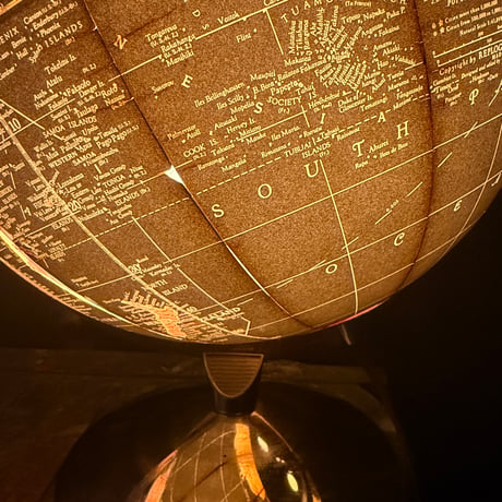 Black Ocean Globe w/Lamp